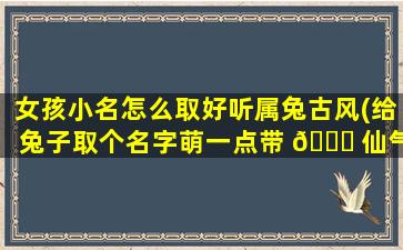 女孩小名怎么取好听属兔古风(给兔子取个名字萌一点带 🐈 仙气 🐱 感觉的)